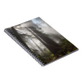 Redwood National Park California Notitieboek (Rechterzijde)