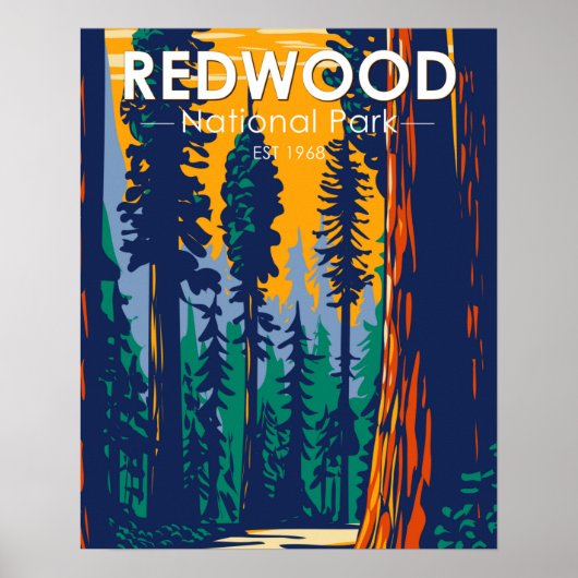 Redwood National Park California  Poster (Voorkant)