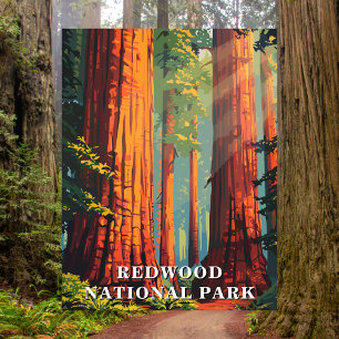 Redwood National Park, California Reisansichtkaart Briefkaart