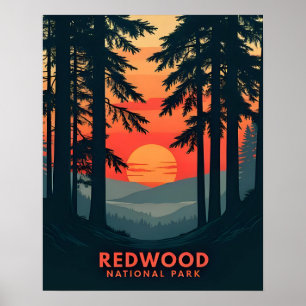 Redwood National Park California Retro  Poster