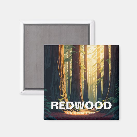 Redwood National Park California Sunlight Magneet (Voorkant / Achterkant)