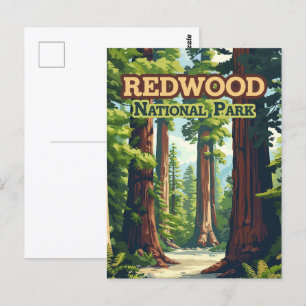 Redwood National Park California Tree Retro Briefkaart