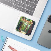 Redwood National Park California Tree Retro Sticker (Laptop met iPhone)