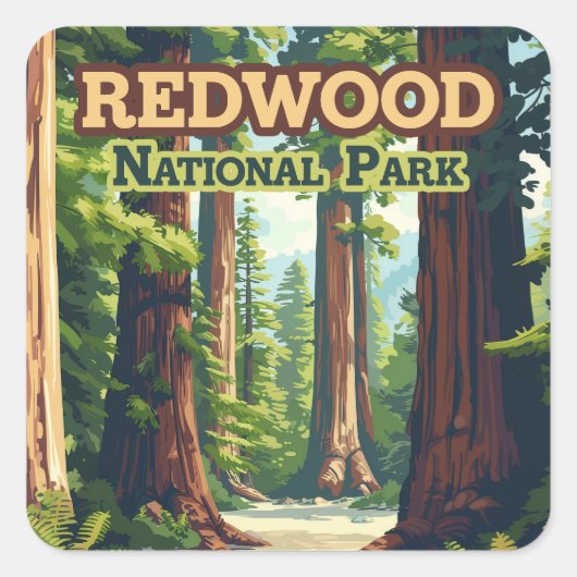 Redwood National Park California Tree Retro Vierkante Sticker (Voorkant)