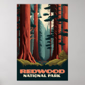Redwood National Park California Trees Poster (Voorkant)
