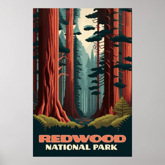 Redwood National Park California Trees Poster (Voorkant)