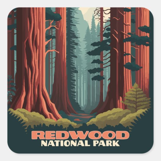 Redwood National Park California Trees Vierkante Sticker (Voorkant)