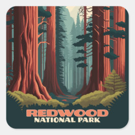 Redwood National Park California Trees Vierkante Sticker