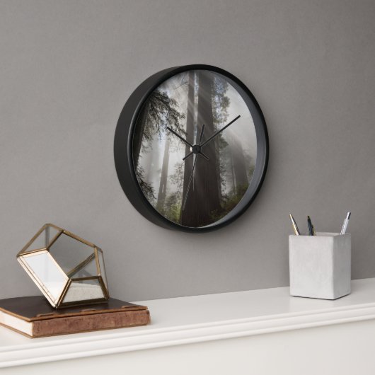 Redwood National Park Californië (Kantoor)