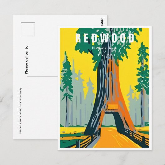 Redwood National Park Californië  bos Briefkaart (Voorkant / Achterkant)