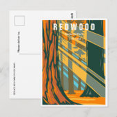 Redwood National Park Californië  bos Briefkaart (Voorkant / Achterkant)