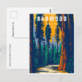 Redwood National Park Californië  bos Briefkaart (Voorkant / Achterkant)