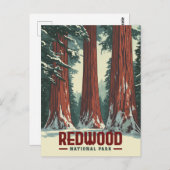 Redwood National Park,  Californië Briefkaart (Voorkant / Achterkant)