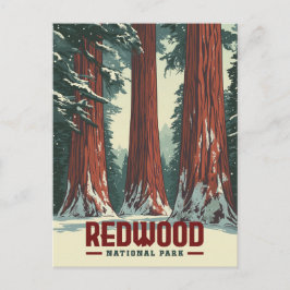 Redwood National Park, Californië Briefkaart