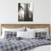 Redwood National Park Californië Canvas Afdruk (Insitu (Slaapkamer))