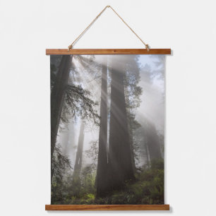 Redwood National Park Californië Hangend Wandkleed