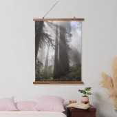 Redwood National Park Californië Hangend Wandkleed (Slaapkamer)