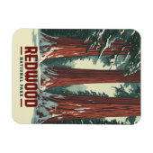 Redwood National Park,  Californië Magneet (Horizontaal)