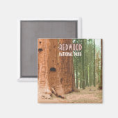 Redwood National Park Californië Magneet (Voorkant / Achterkant)