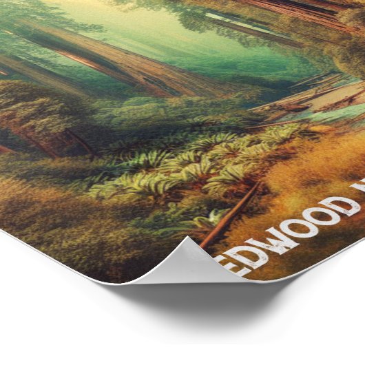 Redwood National Park Californië Poster (Hoek)