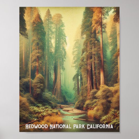 Redwood National Park Californië Poster (Voorkant)