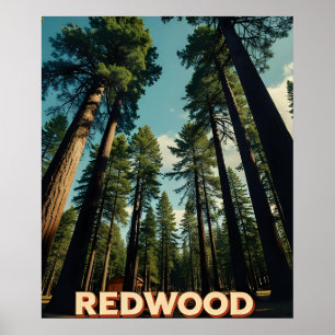 Redwood National Park Californië Vintage Poster