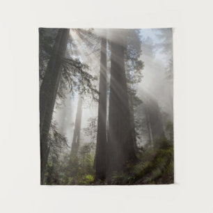 Redwood National Park Californië Wandkleed