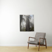 Redwood National Park Californië Wandkleed (In situ)