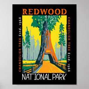 Redwood National Park Chandelier Distress Poster