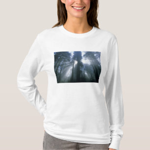 Redwood National Park, Del Norte County, nevelig T-shirt