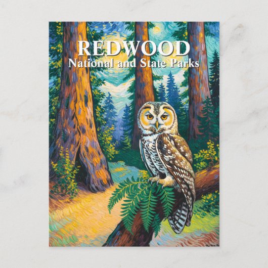 Redwood National Park Forest Owl Van Gogh Style Briefkaart (Voorkant)