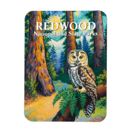 Redwood National Park Forest Owl Van Gogh Style Magneet