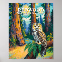 Redwood National Park Forest Owl Van Gogh Style