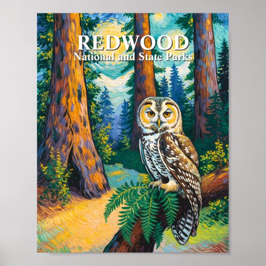 Redwood National Park Forest Owl Van Gogh Style Poster (Voorkant)