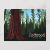 Redwood National Park Giant Tree Art Briefkaart (Voorkant)