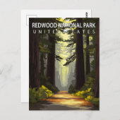 Redwood National Park Hiking Forest Briefkaart (Voorkant / Achterkant)