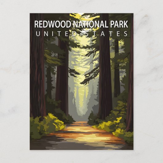 Redwood National Park Hiking Forest Briefkaart (Voorkant)