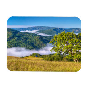 Redwood National Park Magneet