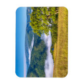 Redwood National Park Magneet (Verticaal)