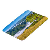 Redwood National Park Magneet (Linkerzijde)