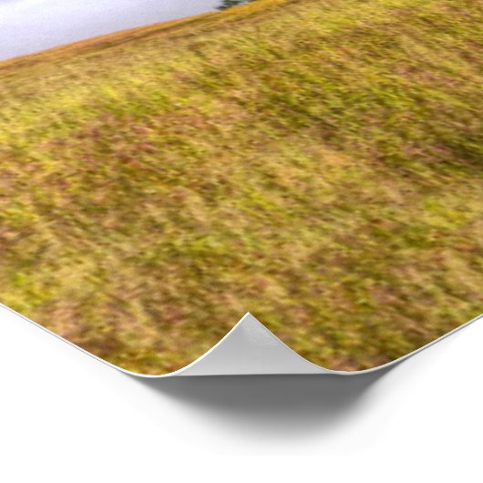 Redwood National Park Poster (Hoek)