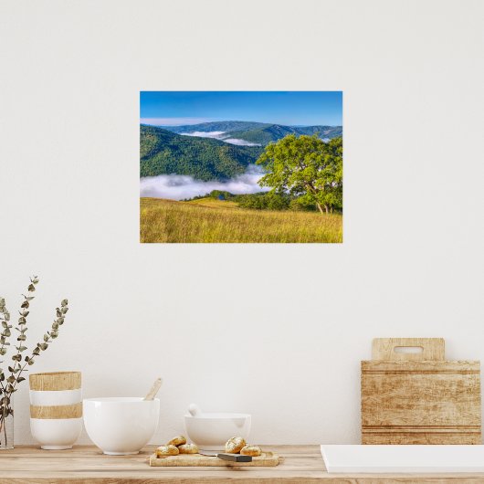 Redwood National Park Poster (Keuken)