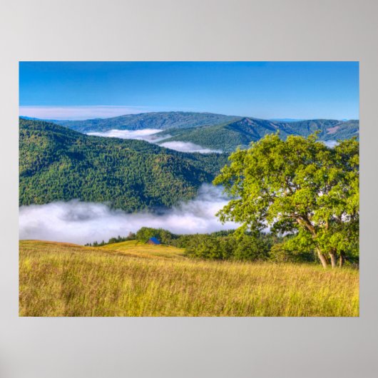 Redwood National Park Poster (Voorkant)