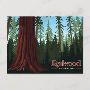 Redwood National Park Reuzenboom Kunst Briefkaart