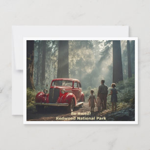 Redwood National Park - Sta versteld - Reisstijl Briefkaart