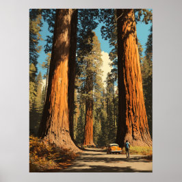 Redwood National Park  stijl reizen Poster