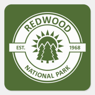 Redwood National Park Sun Trees Vierkante Sticker