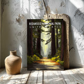 Redwood National Park USA Travel Poster Canvas Art