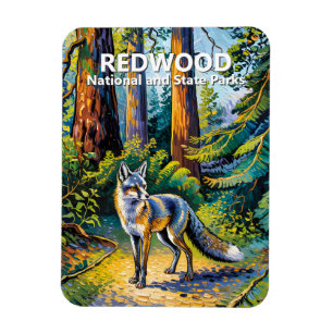 Redwood National Park Van Gogh-bos Vos Aangepast Magneet