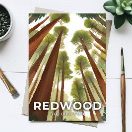 Redwood National Park | Waterverf Hoge Bos Briefkaart